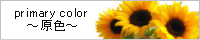 primary color�`���F�`